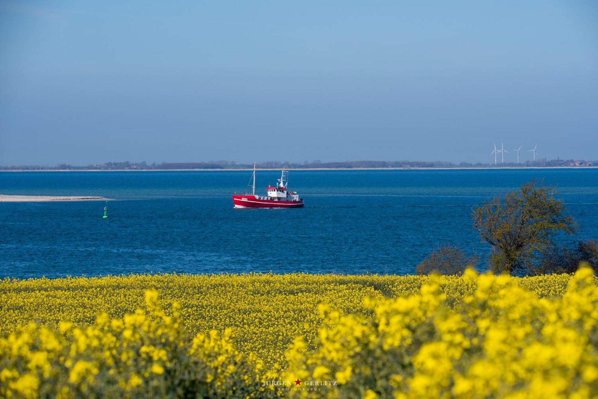 Ferienwohnung Harbourviews Olpenitz Buitenkant foto